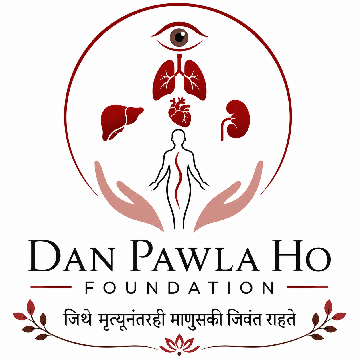 DanPawlaHo Foundation Watermark